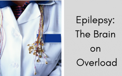 Epilepsy: The Brain on Overload