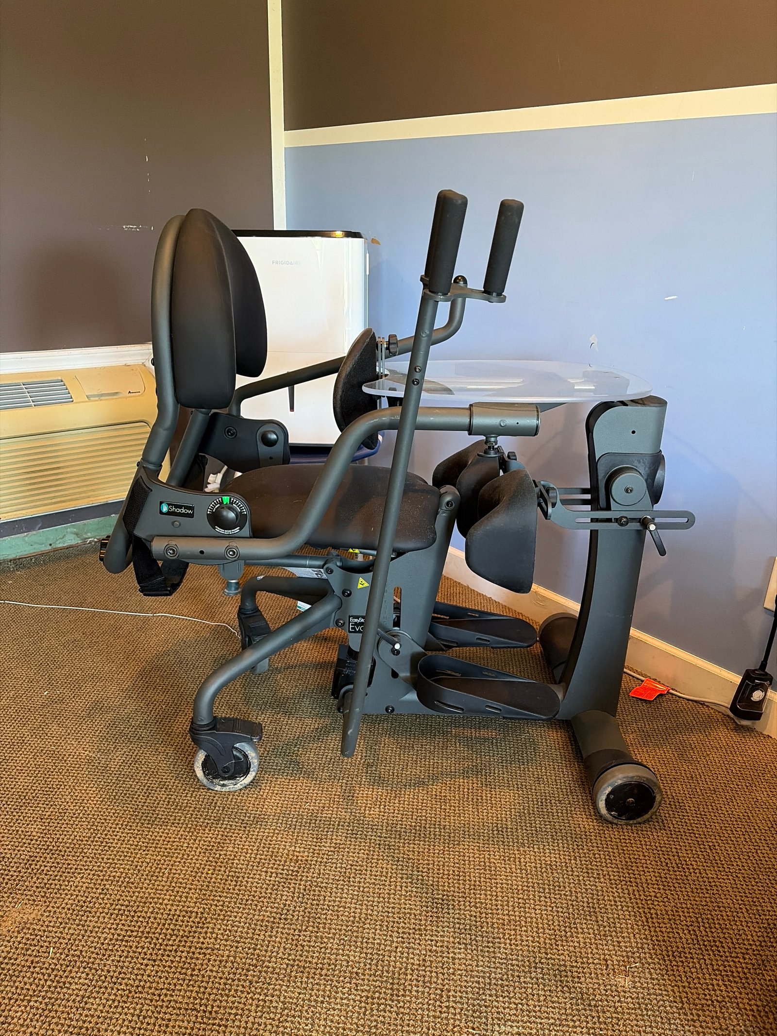 Sit to Stander