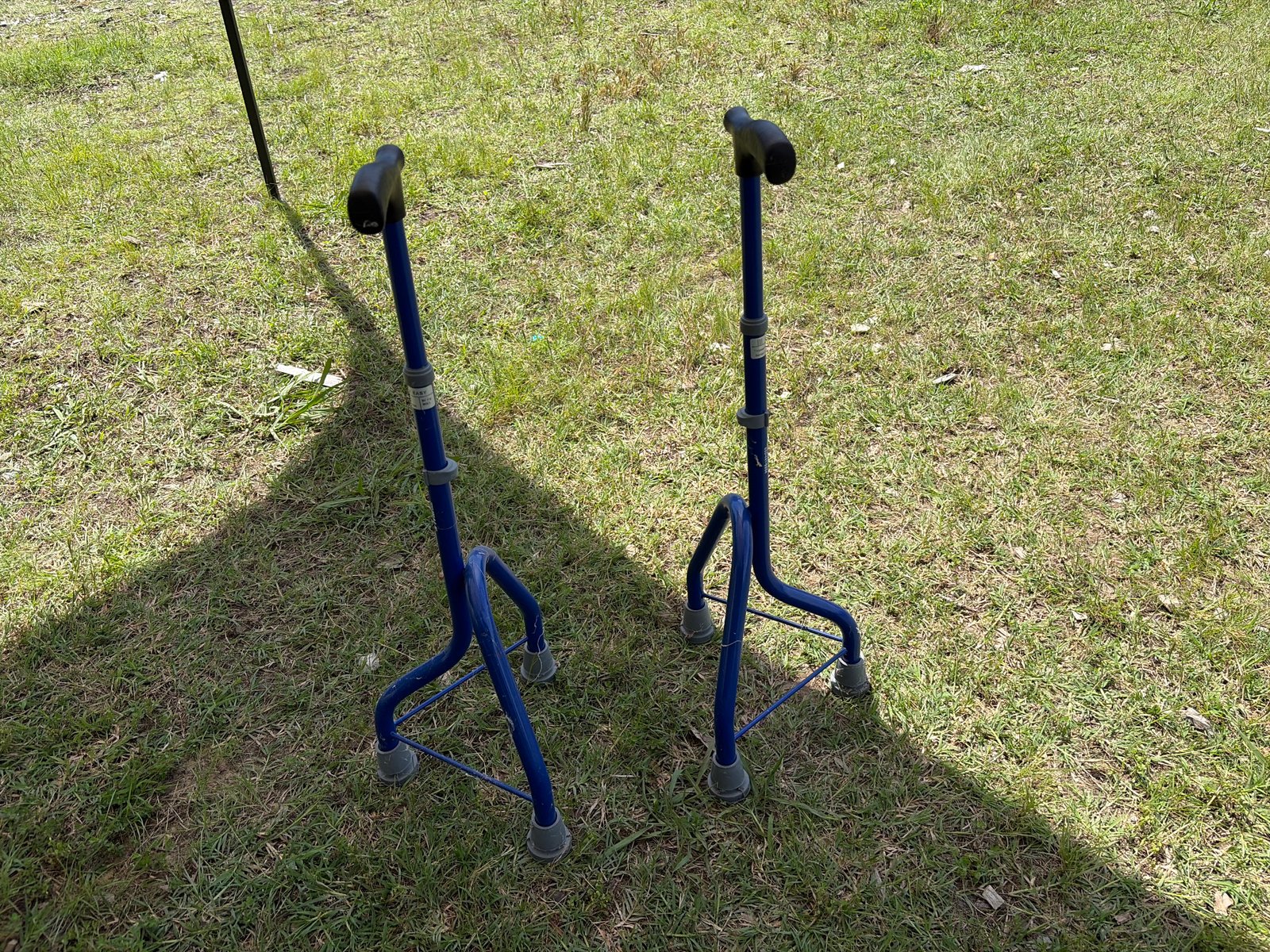 2 tru cane/crutches
